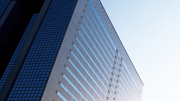 2006年