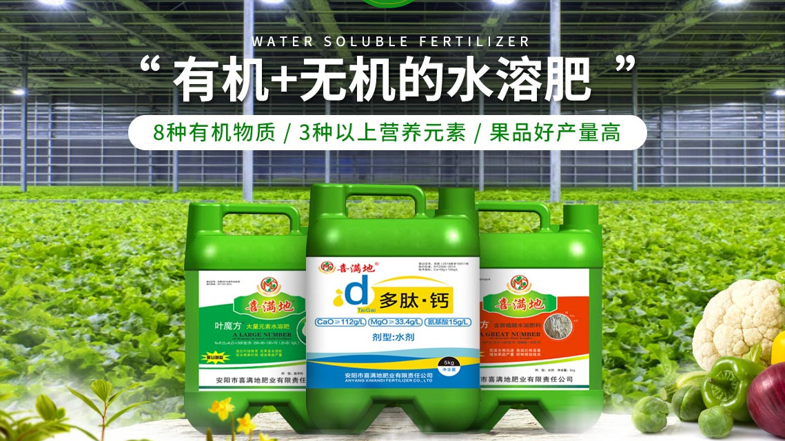 安阳喜满地肥业走向网络营销的秘诀