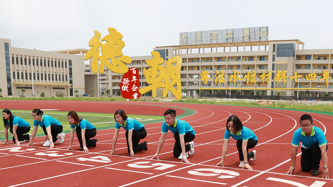 德朝体育设施有限公司网络营销之路
