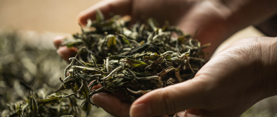 茶叶零售行业网络营销案例分析