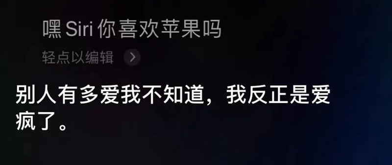语音助手