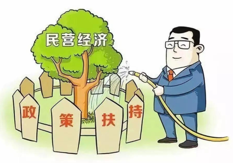 政策扶持