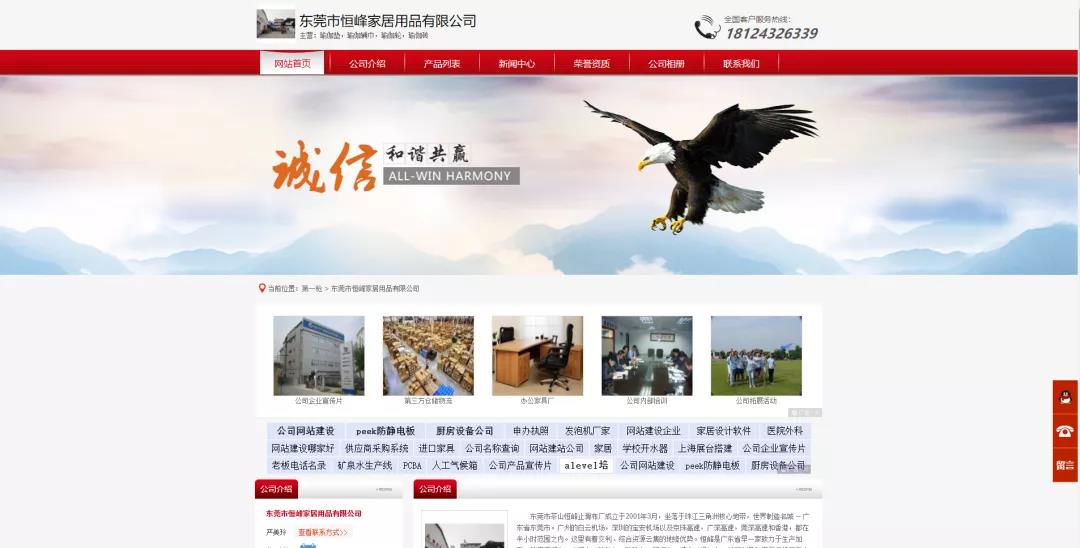 ▲恒峰家居营销型网站