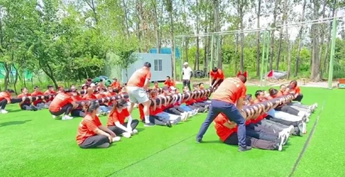 项目训练